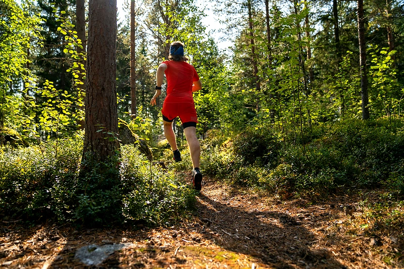 Kuva {x}Solvalla Trail